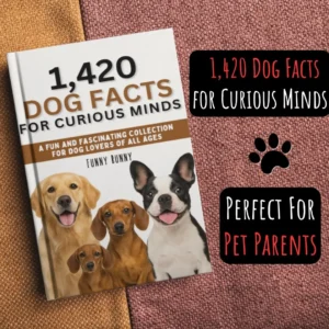 1,420 Dog Facts for Curious Minds